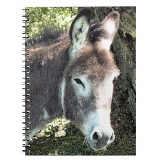 DONKEY NOTITIEBOEK (Voorkant)