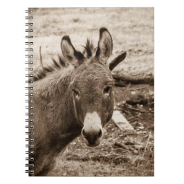 Donkey Notitieboek