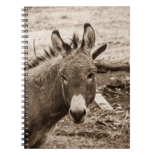 Donkey Notitieboek (Voorkant)