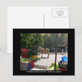 Donkey op de Baza-markt - Granada, Spanje Briefkaart (Voorkant / Achterkant)