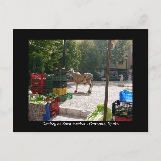 Donkey op de Baza-markt - Granada, Spanje Briefkaart (Voorkant)