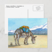 Donkey op High Plateau, Zuid-Amerika Briefkaart (Voorkant / Achterkant)