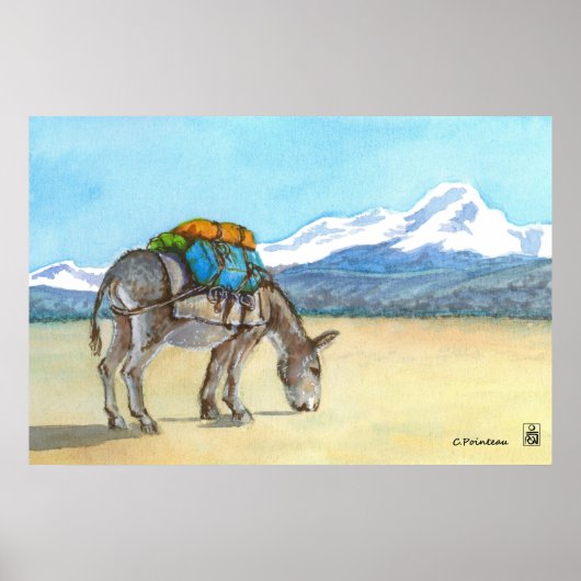 Donkey op High Plateau, Zuid-Amerika Poster (Voorkant)