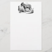  Donkey op maat gepersonaliseerde Retro Donkeys Briefpapier (Voorkant)