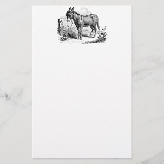  Donkey op maat gepersonaliseerde Retro Donkeys Briefpapier (Voorkant)