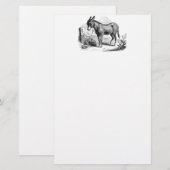  Donkey op maat gepersonaliseerde Retro Donkeys Briefpapier (Voorkant / Achterkant)