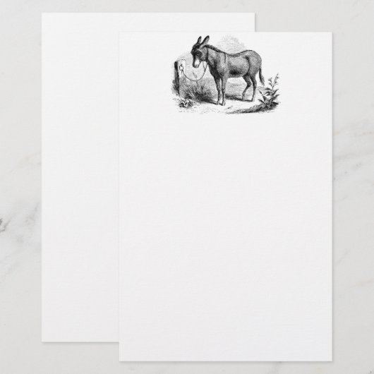  Donkey op maat gepersonaliseerde Retro Donkeys Briefpapier (Voorkant / Achterkant)