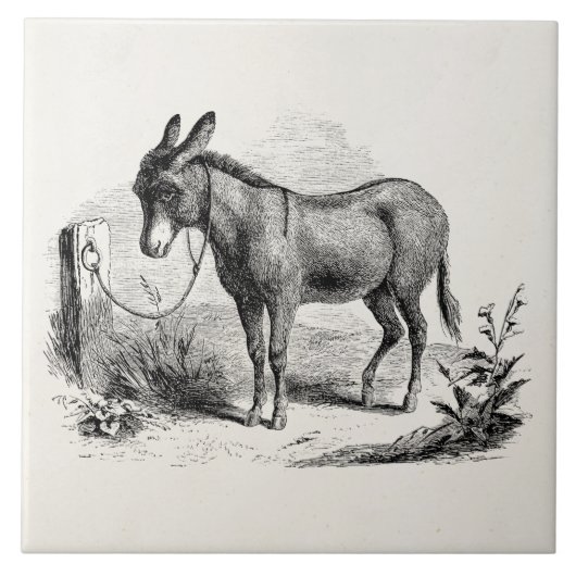  Donkey op maat gepersonaliseerde Retro Donkeys Tegeltje (Voorkant)