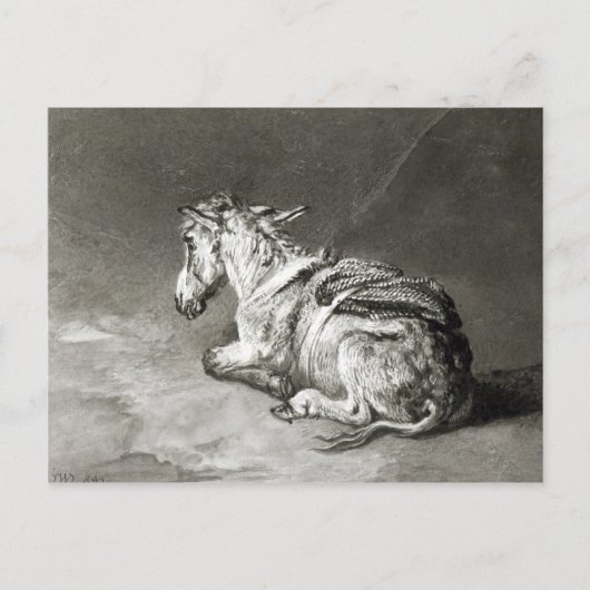 Donkey op Rest Briefkaart (Voorkant)