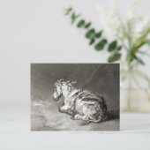 Donkey op Rest Briefkaart (Staand voorkant)