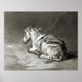 Donkey op Rest Poster (Voorkant)