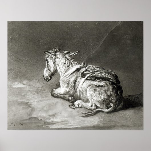 Donkey op Rest Poster (Voorkant)