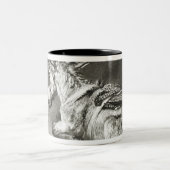 Donkey op Rest Tweekleurige Koffiemok (Center)