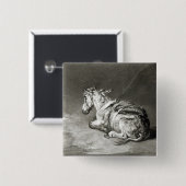 Donkey op Rest Vierkante Button 5,1 Cm (Voorkant /achterkant)