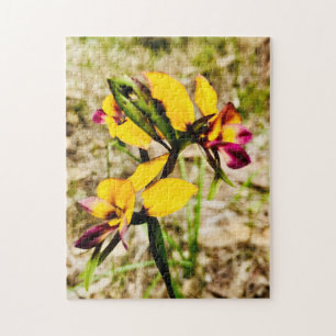 Donkey Orchid Legpuzzel