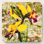 Donkey Orchids Bier Onderzetter (Voorkant)