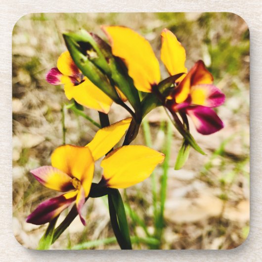 Donkey Orchids Bier Onderzetter (Voorkant)