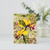Donkey Orchids Briefkaart (Staand voorkant)