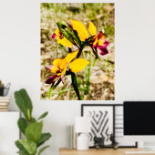 Donkey Orchids Poster (Thuiskantoor)