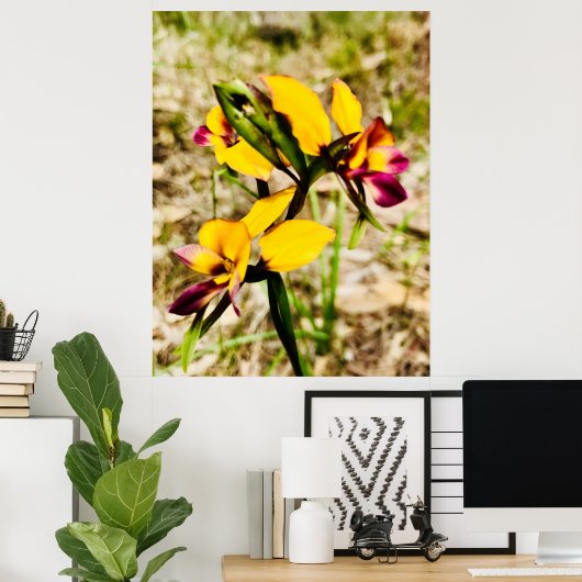 Donkey Orchids Poster (Thuiskantoor)