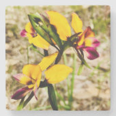 Donkey Orchids Stenen Onderzetter (Voorkant)