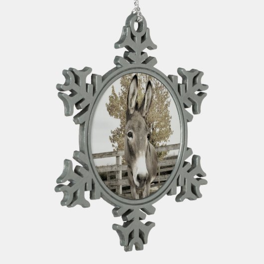 Donkey Ornament (Links)