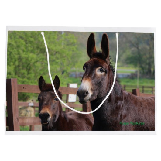 Donkey, Paard en een exclusieve cadeautas van Mule (Achterkant)