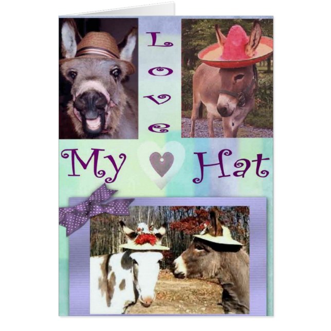 Donkey Petten (Voorkant)