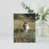 Donkey Picking Yellow Autumn Wildbloemen Briefkaart (Staand voorkant)