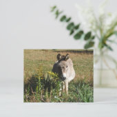 Donkey Picking Yellow Autumn Wildbloemen Briefkaart (Staand voorkant)