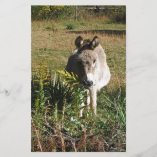 Donkey Picking Yellow Autumn Wildbloemen Briefpapier