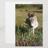 Donkey Picking Yellow Autumn Wildbloemen Briefpapier (Voorkant / Achterkant)