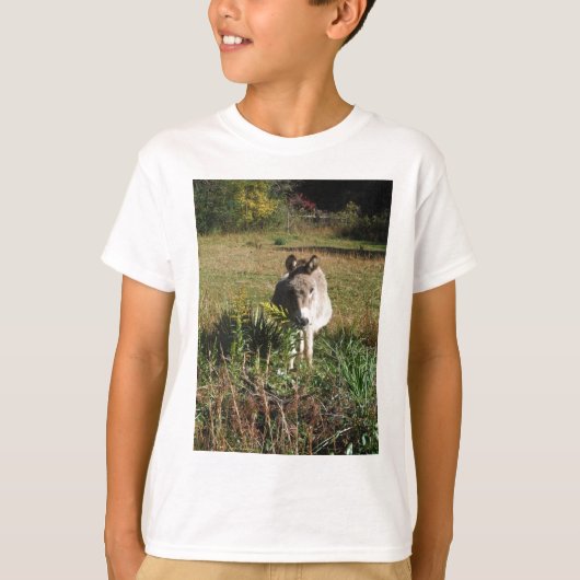Donkey Picking Yellow Autumn Wildbloemen T-shirt (Voorkant)
