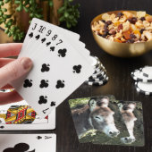 DONKEY POKERKAARTEN (Insitu)