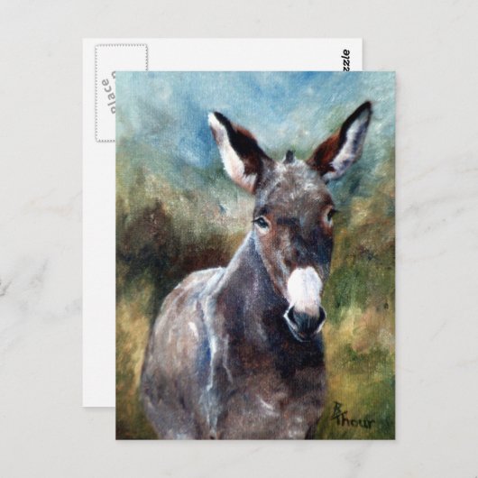 Donkey Portrait Briefkaart (Voorkant / Achterkant)
