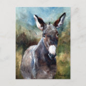 Donkey Portrait Briefkaart (Voorkant)