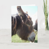 Donkey Portrait Greeting Card Kaart (Voorkant)