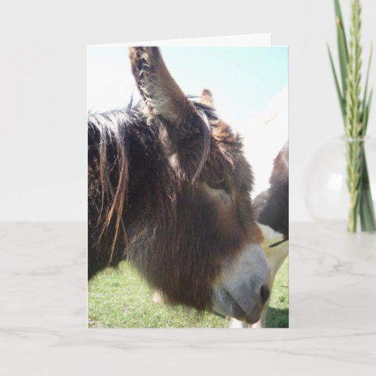 Donkey Portrait Greeting Card Kaart (Voorkant)