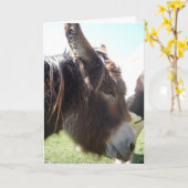 Donkey Portrait Greeting Card Kaart (Gele Bloem)