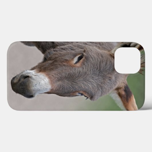 Donkey Portrait iPad Case (Achterkant (horizontaal))