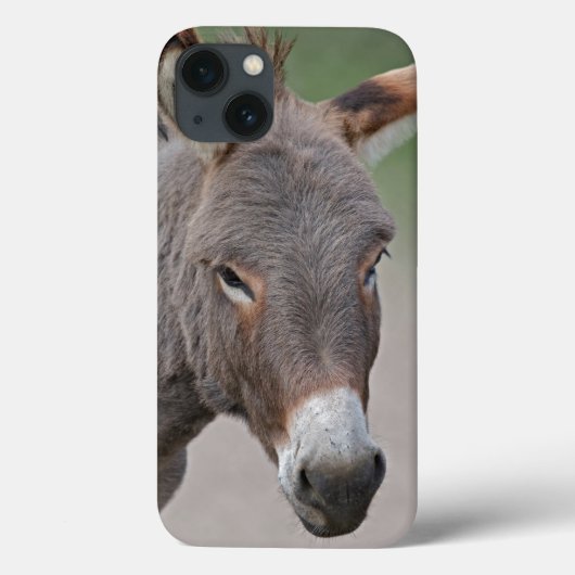 Donkey Portrait iPad Mini Case (Achterkant)
