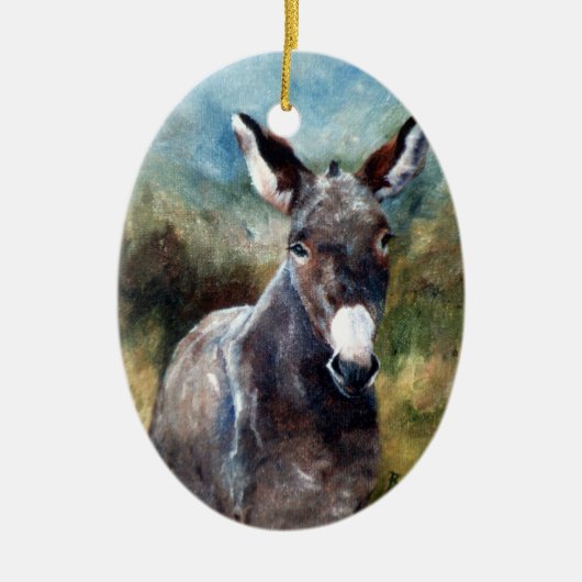 Donkey Portrait Keramisch Ornament (Voorkant)