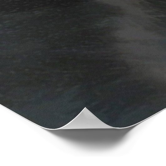 DONKEY POSTER (Hoek)