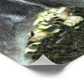 DONKEY POSTER (Hoek)