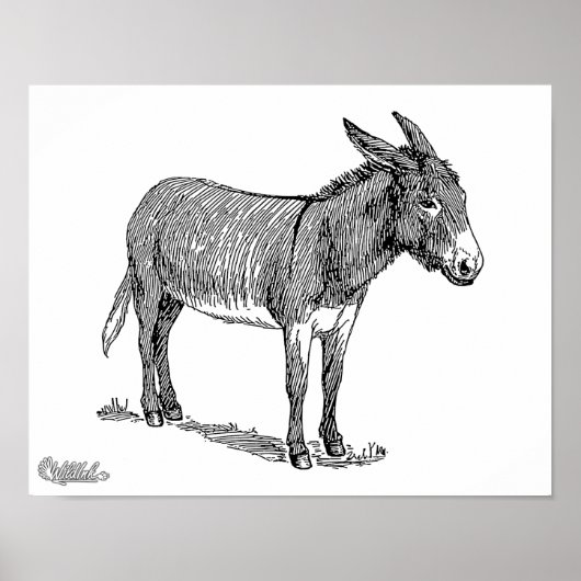 Donkey Poster (Voorkant)
