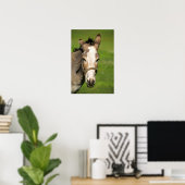 Donkey Poster (Thuiskantoor)