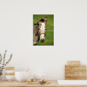 Donkey Poster (Keuken)