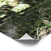 DONKEY POSTER (Hoek)