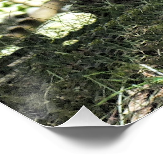 DONKEY POSTER (Hoek)