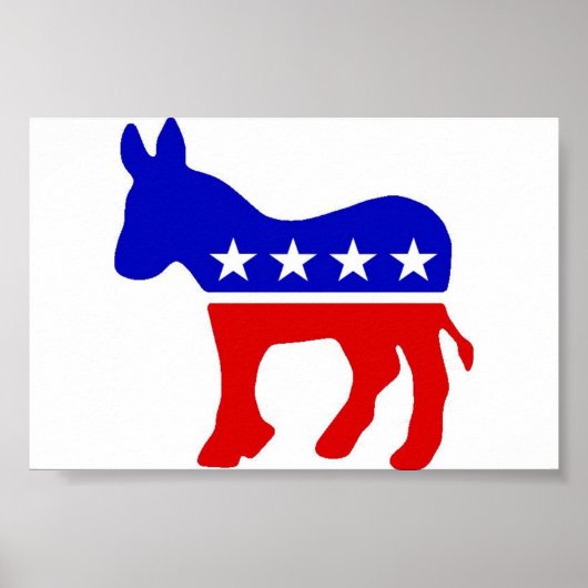 Donkey Poster (Voorkant)